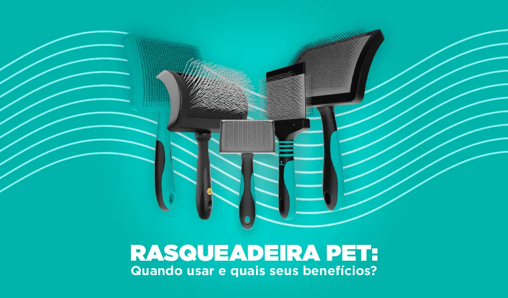 Rasqueadeira Pet: Quando Usar e Quais Seus Benefícios?